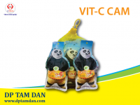 VIT-C CAM