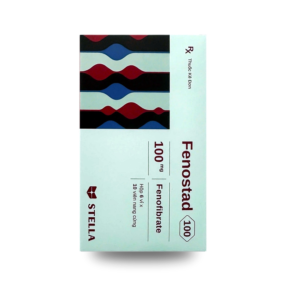 FENOSTAD 100 — Điều trị rối loạn lipid máu - ảnh 2