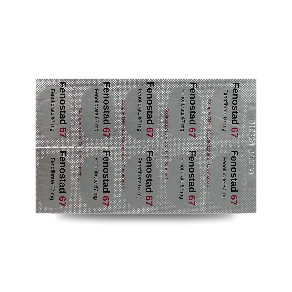 FENOSTAD 67 — Điều trị rối loạn lipid máu - ảnh 2