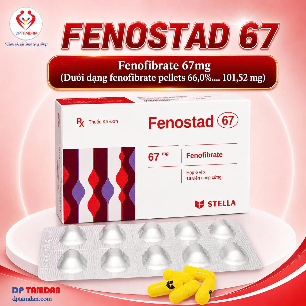 FENOSTAD 67 — Điều trị rối loạn lipid máu